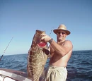 Cabrilla