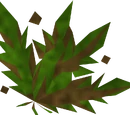 Grimy ranarr