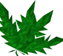 Herb