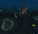 The Nexus
