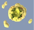 ScapeRune