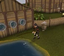 Fishing Contest