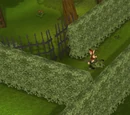 Tree Gnome Village (quest)