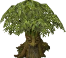 Spirit tree