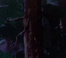 Sawmill (The Ozark Witch Switch)