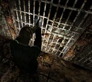 Prisoners