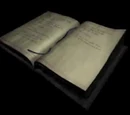 Lisa's Diary