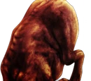 Carrion