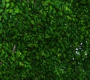 The Sims 3
