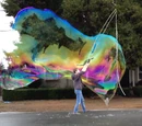 Giant Bubbles