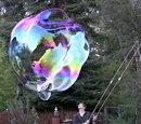 Soap Bubble Wiki
