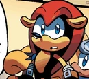 Mighty the Armadillo