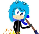 Duan The Hedgehog