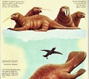 Distarterops