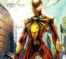 Iron Spider Armor