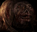 Flesh