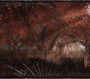 Red Forest