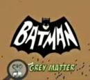 Batman and Grey Matter