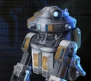 Companion Character