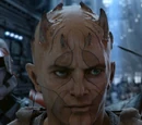 Kao Cen Darach