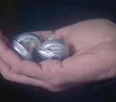 EarPod