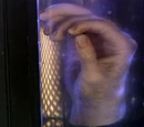The Tenth Doctor's hand