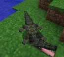 Crocodiles
