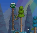 Snow Block
