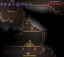 Underground House