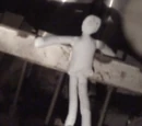 The Operator's Doll