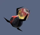 The Eye