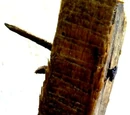 Lump of Wood