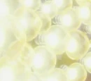 Light Mushroom