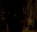 Werepanther