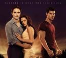 Breaking Dawn - Part 1