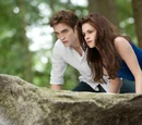Breaking Dawn - Part 2