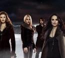Denali coven