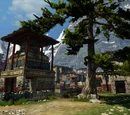 Village