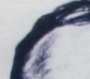 D.B. Cooper