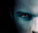 Stefan Salvatore (novel)