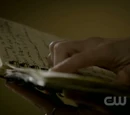 Mason's Journal