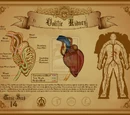 Oolitic Kidney