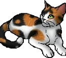 Sweetpaw