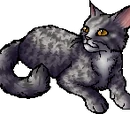 Willowbreeze