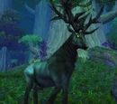 Shadowhorn Stag