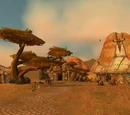 Camp Taurajo