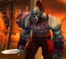 Blackrock Champion