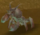 Muckshell Snapclaw