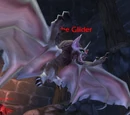 Shadikith the Glider