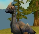 Plainstrider